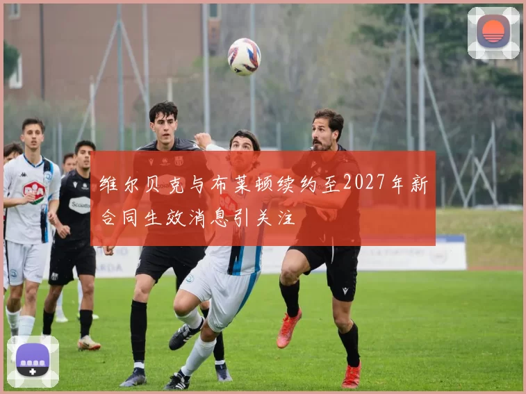 维尔贝克与布莱顿续约至2027年新合同生效消息引关注